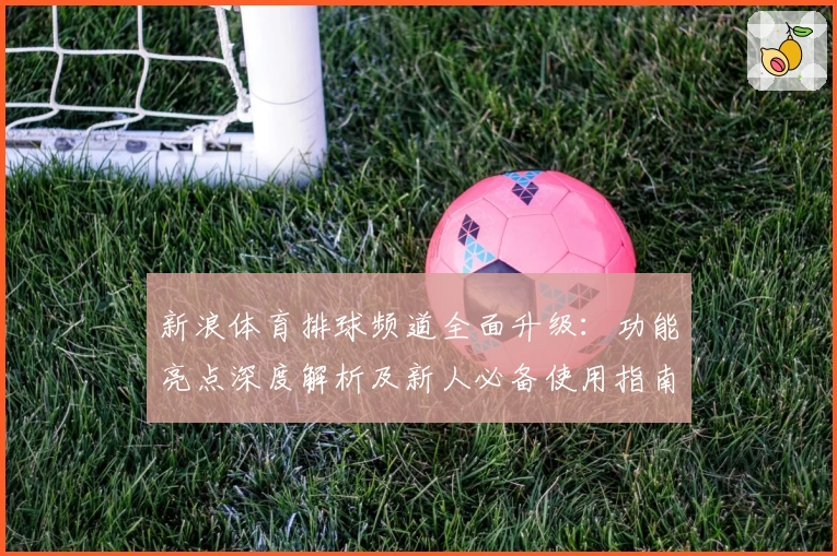 新浪体育排球频道全面升级:功能亮点深度解析及新人必备使用指南