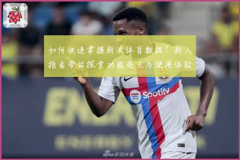 如何快速掌握新浪体育数据？新人指南带你探索功能亮点与使用体验
