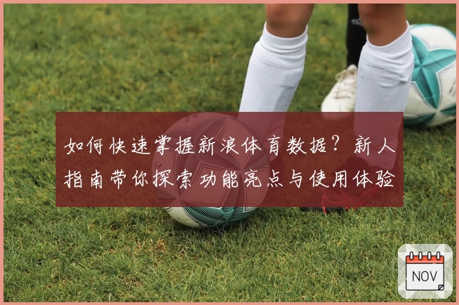 如何快速掌握新浪体育数据？新人指南带你探索功能亮点与使用体验