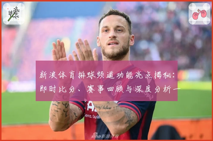 新浪体育排球频道功能亮点揭秘：即时比分、赛事回顾与深度分析一应俱全