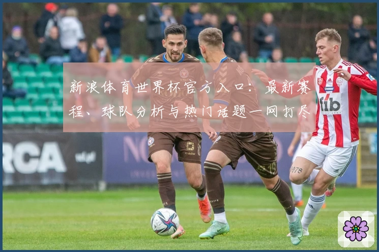 新浪体育世界杯官方入口：最新赛程、球队分析与热门话题一网打尽