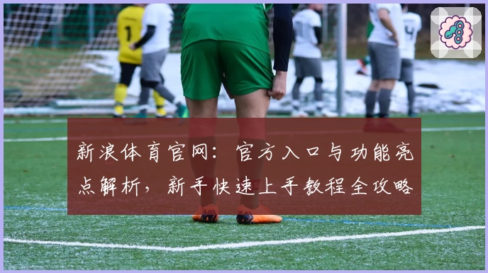 新浪体育官网：官方入口与功能亮点解析，新手快速上手教程全攻略