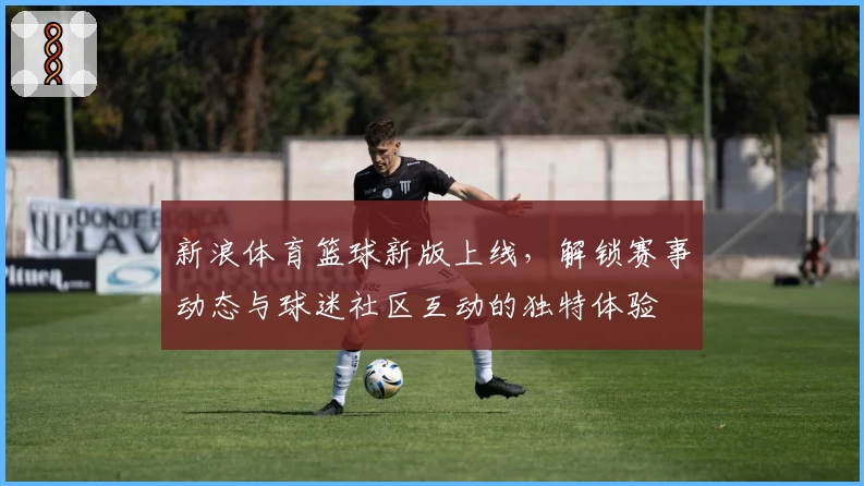 新浪体育篮球新版上线,解锁赛事动态与球迷社区互动的独特体验