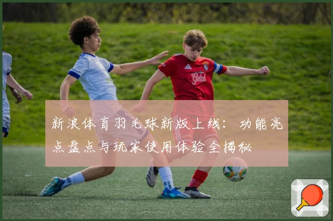 新浪体育羽毛球新版上线：功能亮点盘点与玩家使用体验全揭秘