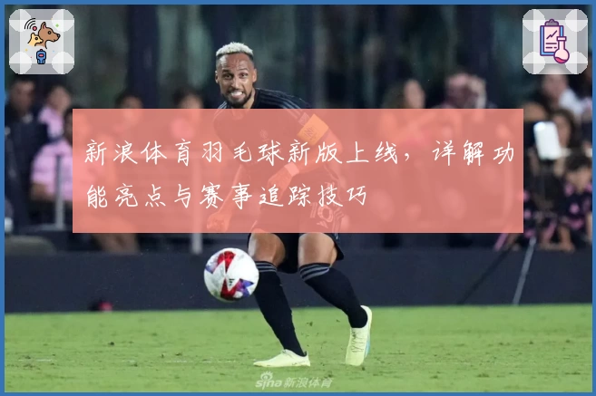 新浪体育羽毛球新版上线，详解功能亮点与赛事追踪技巧