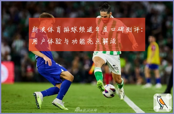 新浪体育排球频道年度口碑测评:用户体验与功能亮点解读