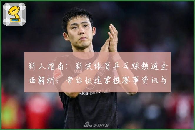 新人指南：新浪体育乒乓球频道全面解析，带你快速掌握赛事资讯与专业解读