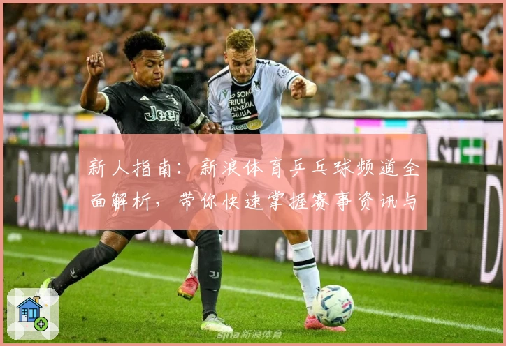 新人指南:新浪体育乒乓球频道全面解析,带你快速掌握赛事资讯与专业解读