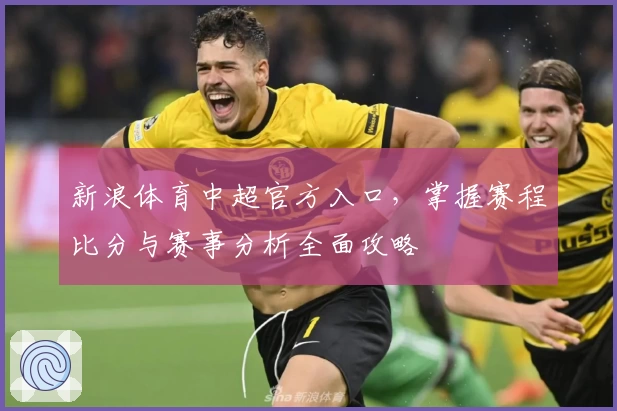 新浪体育中超官方入口，掌握赛程比分与赛事分析全面攻略